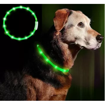 Collar LED Anicoll verde para perros y gatos modelo iluminación recargable