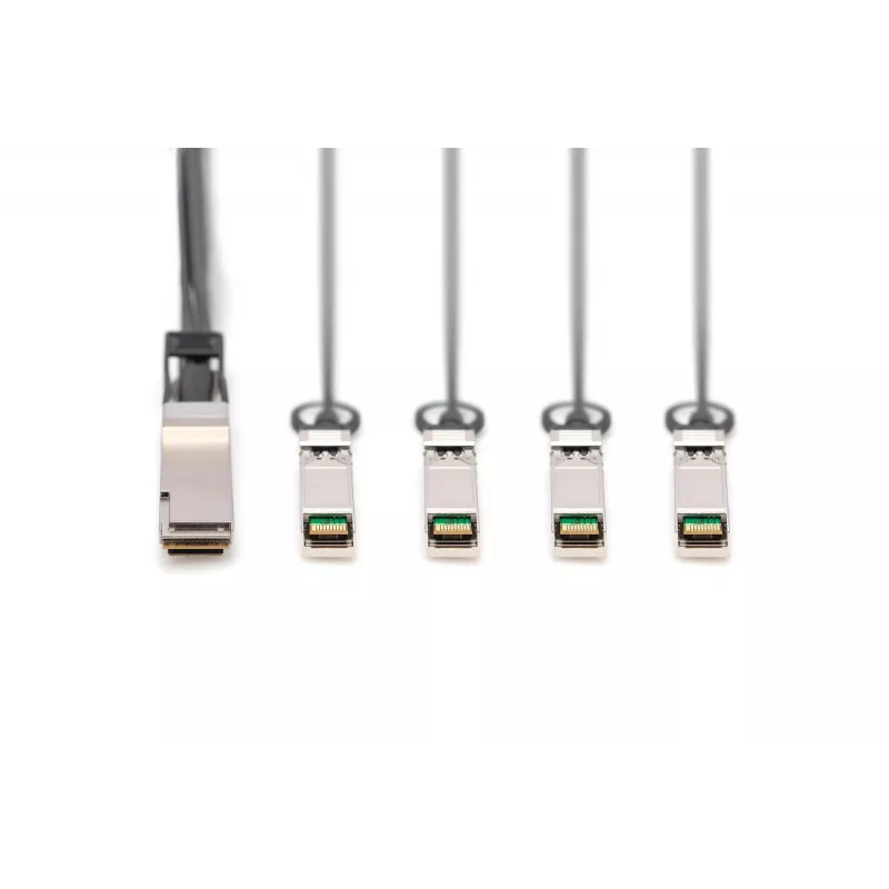 Cable de conexión directa Digitus DN-81325 40G QSFP+ a 4x SFP+ 5 m