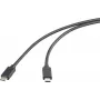 Renkforce Cable USB-C USB 3.2 Gen2x2 conector macho conector macho 2,00 m negro funda TPE (RF-6609644)