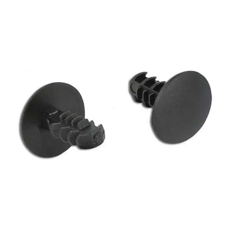 DeLOCK clip de abeto 60188 negro nailon 10 uds.