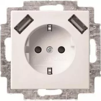 Busch-Jaeger SCHUKO toma de corriente 2 tomas USB 20 EUCB2USB-914 (2CKA002011A6266)