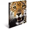 Carpeta de polipropileno (PP) HERMA 7137 multicolor A4