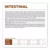 VET EXPERT Veterinary Diet Intestinal Dog - comida seca para perros - 12 kg