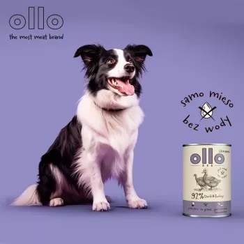 OLLO Umami pato y pavo - pienso húmedo para perros - 850g