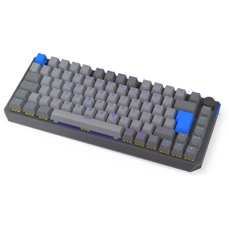 Teclado mecánico inalámbrico compacto 75% ENDORFY Thock V2 con interruptores amarillos, Distribución DE