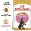 Comida seca para gatos Royal Canin Maine Coon Kitten 2 kg — aves, proteína 36%, grasa 23%