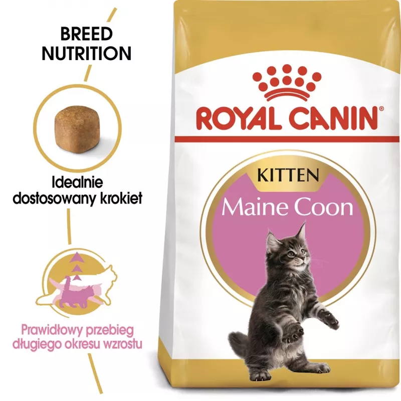 Comida seca para gatos Royal Canin Maine Coon Kitten 2 kg — aves, proteína 36%, grasa 23%