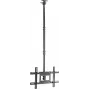 SpeaKa Professional SP-TVCM-540 soporte de techo para TV regulable en altura 94,0 cm 37 - 203,2 80 (SP-13660960)
