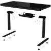Escritorio gaming de altura ajustable con dos motores, función sentado/de pie, cargador inalámbrico, iluminación RGB, panel de control y puertos USB, tablero de vidrio templado, negro