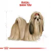 Royal Canin BHN Shih Tzu Adult pienso para perros, 7,5 kg