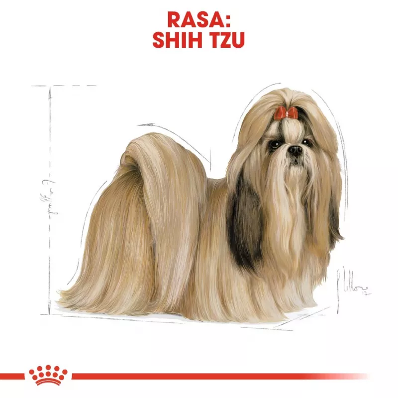 Royal Canin BHN Shih Tzu Adult pienso para perros, 7,5 kg