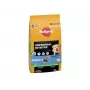 Pedigree Professional Nutrition Junior pienso para perros con aves y verduras, razas medianas y grandes, 12 kg