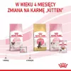 Royal Canin BABYCAT INSTINCTIVE - Comida húmeda para gatos - 195 g