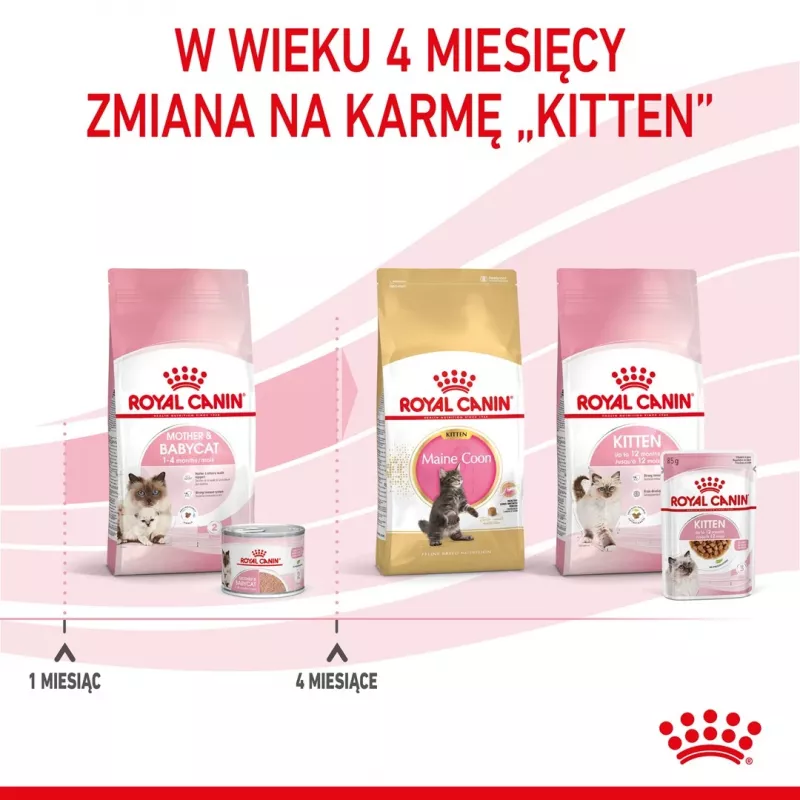 Royal Canin BABYCAT INSTINCTIVE - Comida húmeda para gatos - 195 g