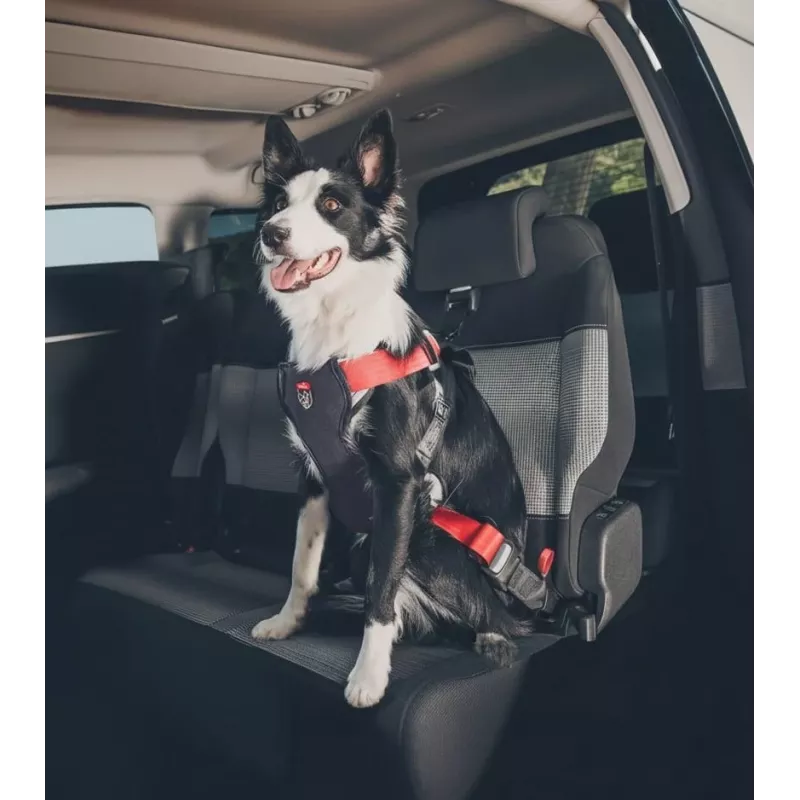 Arnés para perros ZOLUX TRAVEL SAFE M, talla M, rojo
