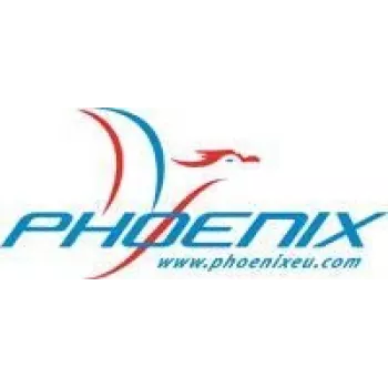 Phoenix Safe Phoenix KS0003C – Metal – Negro – Plata – 1 gancho – Cerradura de combinación – 95 x 70 x 140 mm – 62 x 30 x 98 mm