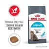Royal Canin Urinary Care pienso para gatos Adult ave 2 kg