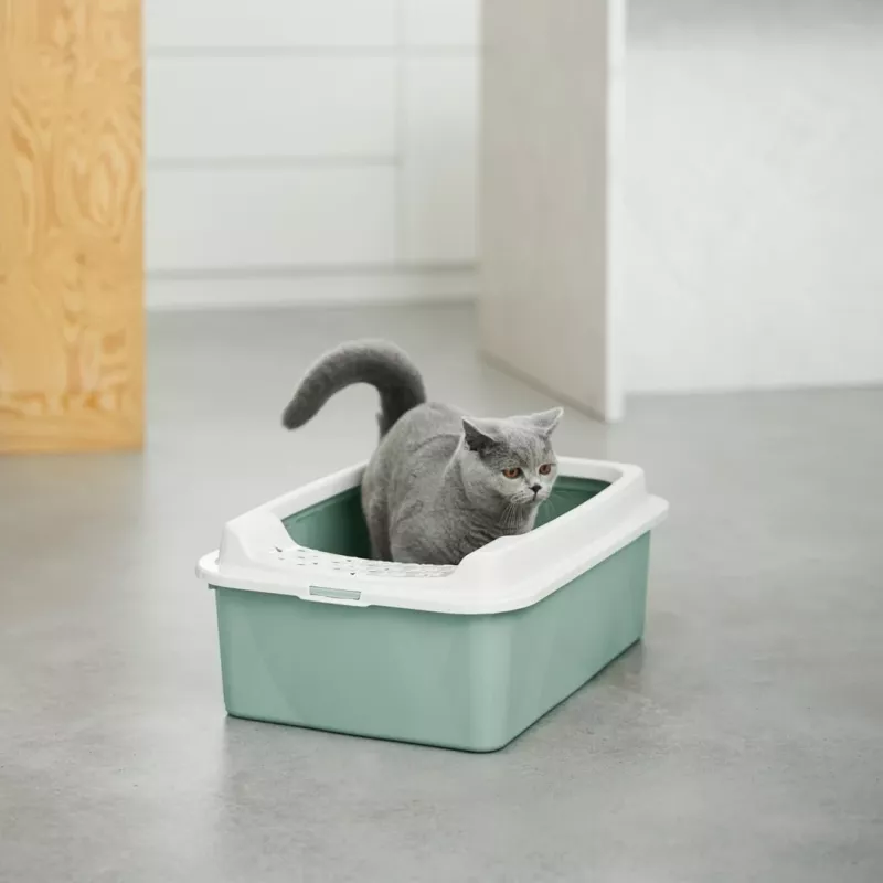 ROTHO Bonnie Eco Green - arenero para gatos