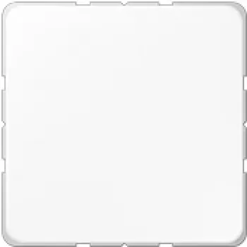 JUNG CD 594-0 WW tapa ciega con anillo de soporte, blanco