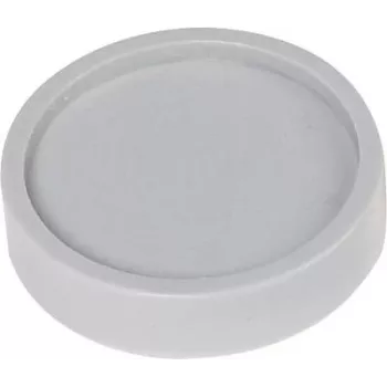 Maul Magnet (Ø x H) 30 mm x 8,4 mm redondo gris 10 uds. 6172384 (6172384)
