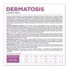 VETEXPERT Veterinary Diet Dermatosis Dog Lamb & Krill pienso seco para perros, 2 kg