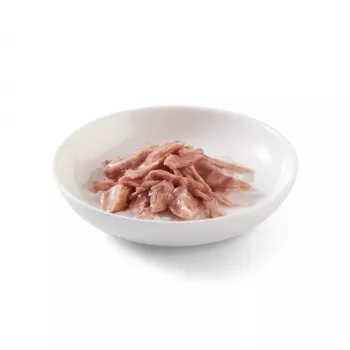 SCHESIR en gelatina Atún - Comida húmeda para gatos - 85 g