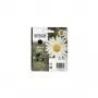 Epson Daisy pack individual negro 18XL Claria Home tinta, alto (XL) rendimiento, negro, tinta pigmentada, 1 ud.