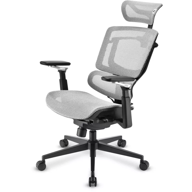 Silla de oficina Sharkoon OfficePal C50M — asiento acolchado, respaldo de malla, negra, respaldo 49 × 63 cm, anchura de asiento 50 cm