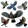 Pegatina decorativa HERMA 15539 film multicolor despegable pájaro