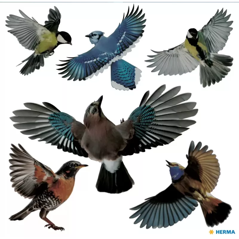 Pegatina decorativa HERMA 15539 film multicolor despegable pájaro