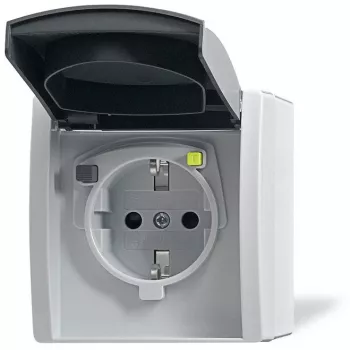 Busch-jaeger 2CKA003116A0664 gris
