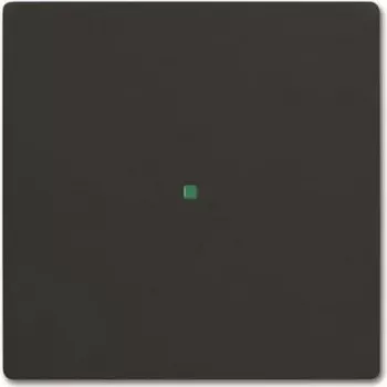 BUSCH JAEGER Tecla 6230-10-885 Simple negro mate