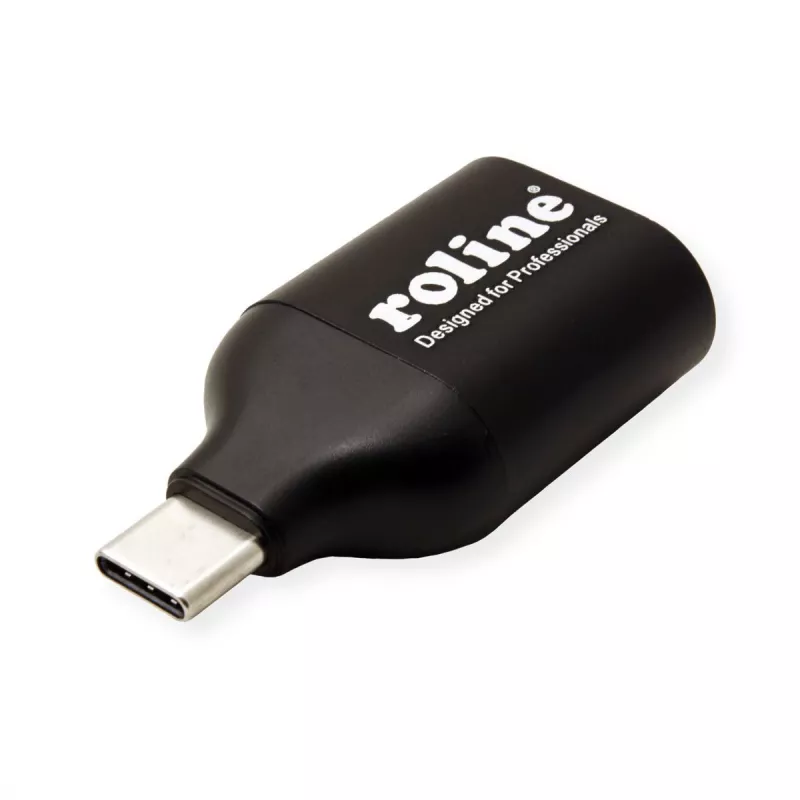 ROLINE 12.03.3228 Adaptador gráfico USB 1920 x 1080 píxeles Negro (12.03.3228)