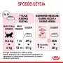 Royal Canin Kitten comida seca para gatos 2 kg