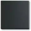 Interruptor de luz Busch-Jaeger 1751-0-3041, carcasa de plástico, negro, pulsadores, 63×63 mm