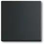 Interruptor de luz Busch-Jaeger 1751-0-3041, carcasa de plástico, negro, pulsadores, 63×63 mm