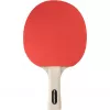 Set de tenis de mesa Friends, equipo de fitness para 4 jugadores