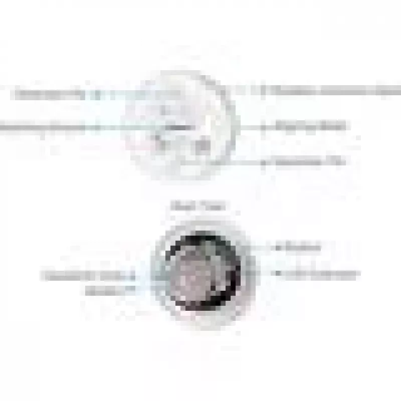 Detector de agua EZVIZ T10C Sensmitter inalámbrico IP67 Blanco, pila CR123A, 2400 MHz, 200 m de alcance