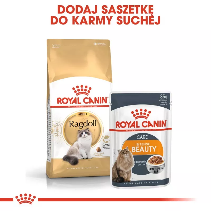 Royal Canin FBN Ragdoll Adult pienso seco para gatos, 2 kg