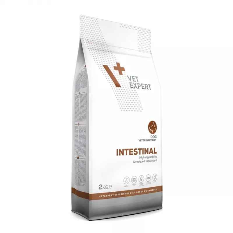VET EXPERT Veterinary Diet Intestinal Dog - pienso para perros - 2 kg