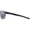 Gafas de sol ALPINA DEFEY HR color negro mate lente negra Cat. 3