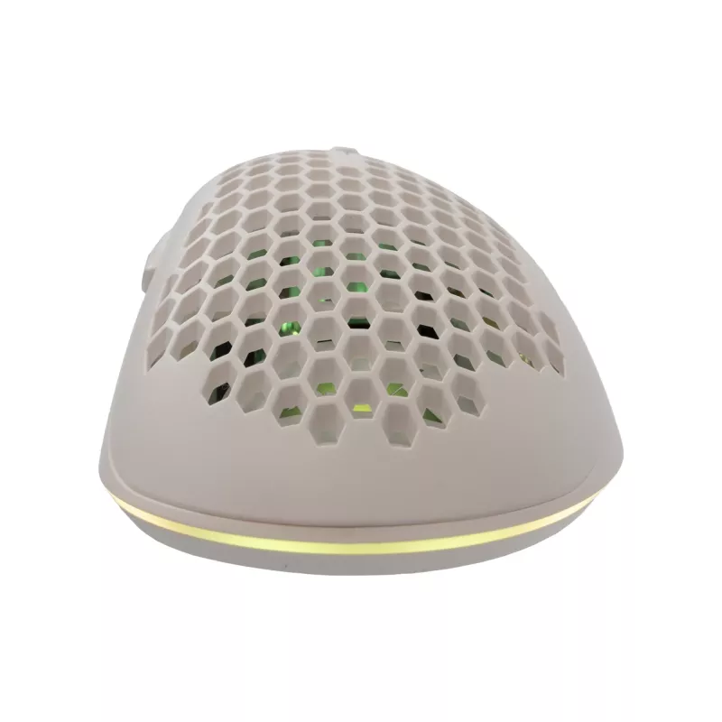 Baracuda BGM-032 Coral blanco