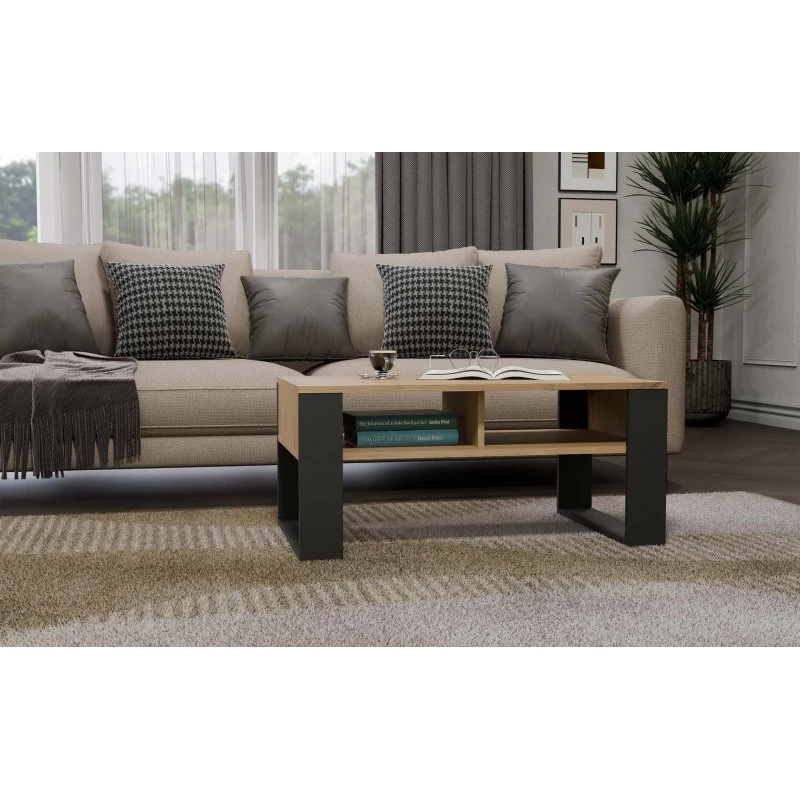 Mesa de centro top e shop Modern 90×58×50 cm, estructura antracita, estantes en roble Artisan mate