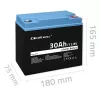 Batería LiFePO4 recargable QOLTEC 12,8V 30Ah 384Wh con BMS