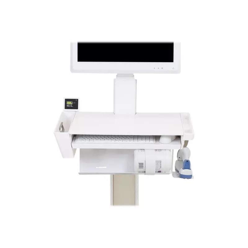 Ergotron 98-250 batería blanca