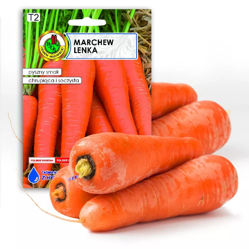 PNOS zanahoria comestible Lenka semillas en cinta, 6 m
