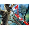 Cortarramas con yunque WOLF-Garten RC-M