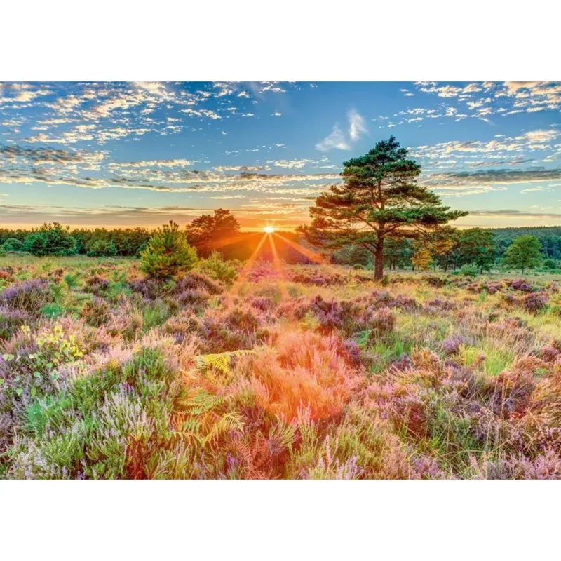 Puzle, schmidt spiele Brezal al atardecer, 1000 piezas, motivo de paisaje