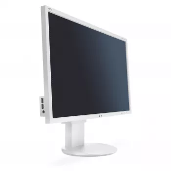 Nec G202591-003A4 Pantalla