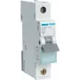 Hager MBN106. Frecuencia de entrada CA: 50/60 Hz, corriente nominal de salida: 6 A (MBN106)
